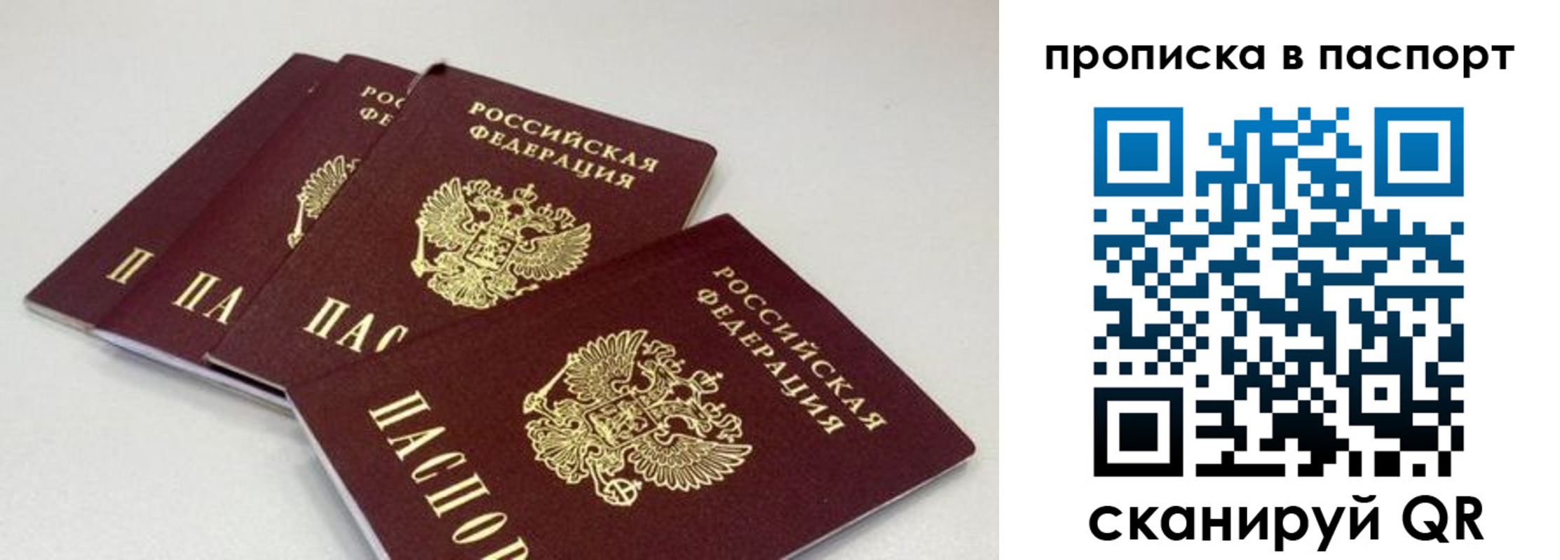 найти адрес прописки в Ельне